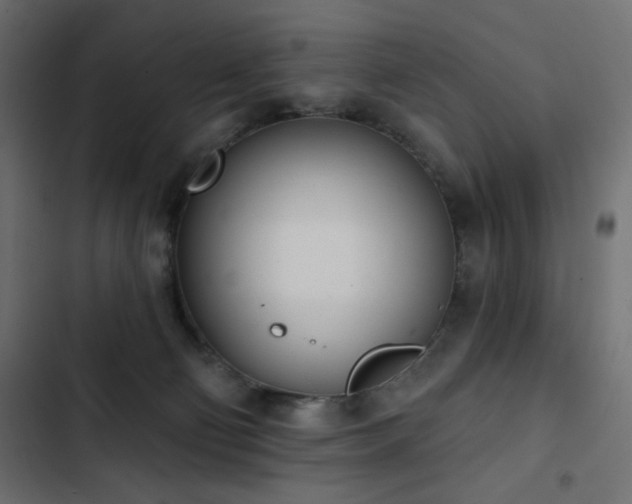 X0000103440130200809121412