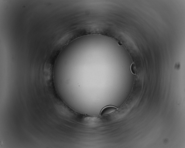 X0000103440133200809121412