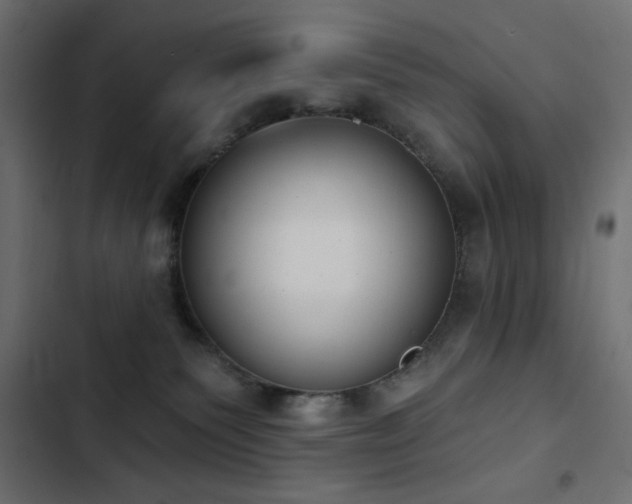 X0000103440135200809121412