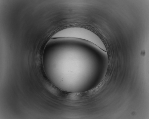 X0000103440136200809121412