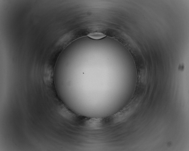 X0000103440138200809121412