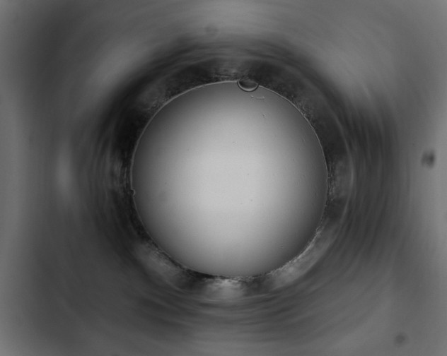 X0000103440140200809121412
