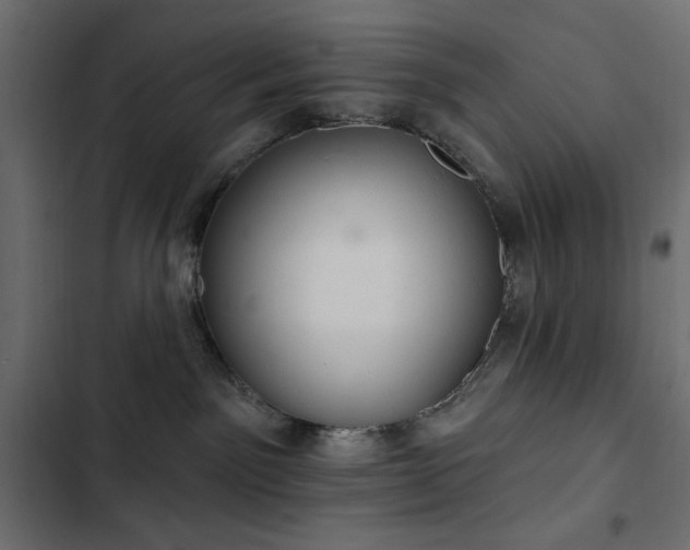 X0000103440141200809121412