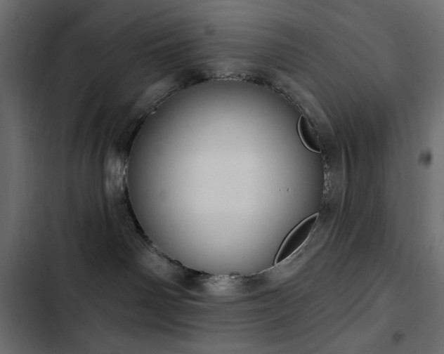 X0000103440142200809121412