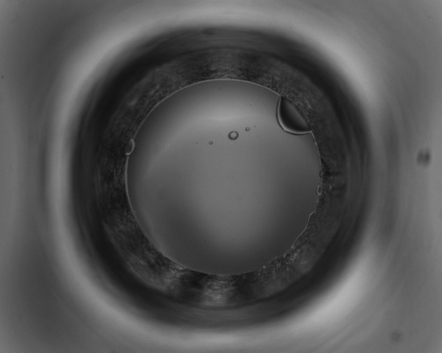 X0000103440143200809121412