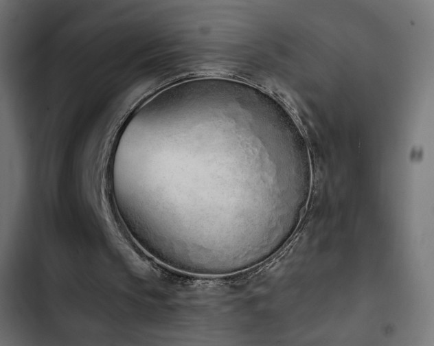 X0000103440145200809121411