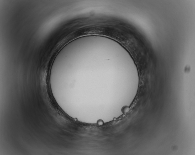 X0000103440146200809121411