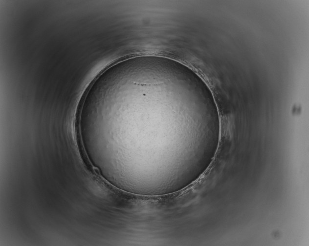 X0000103440147200809121411
