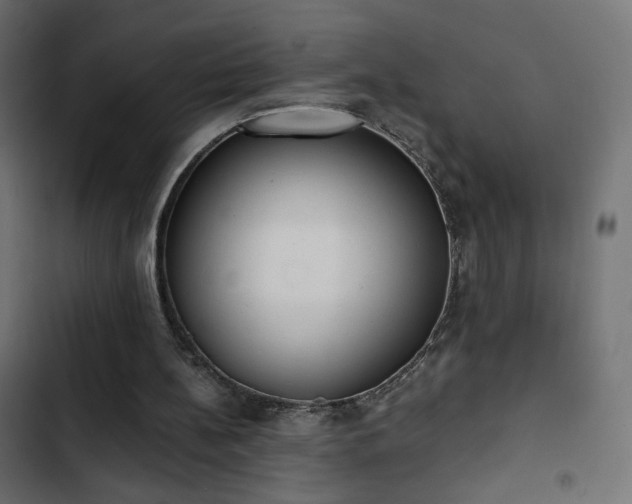 X0000103440148200809121411