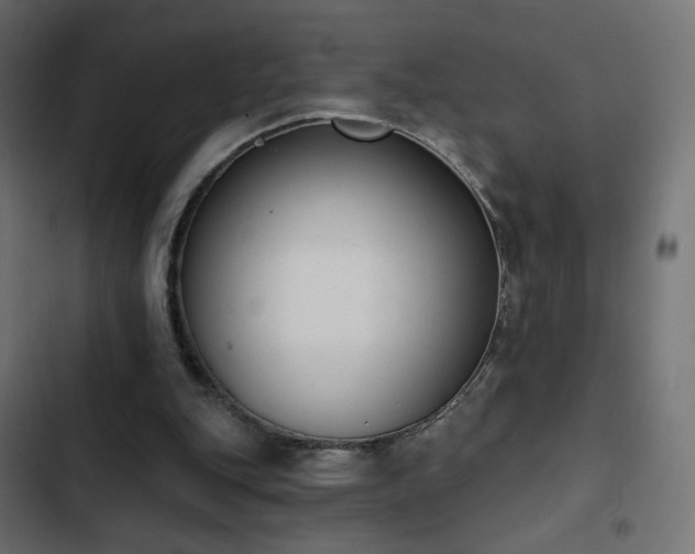 X0000103440151200809121411