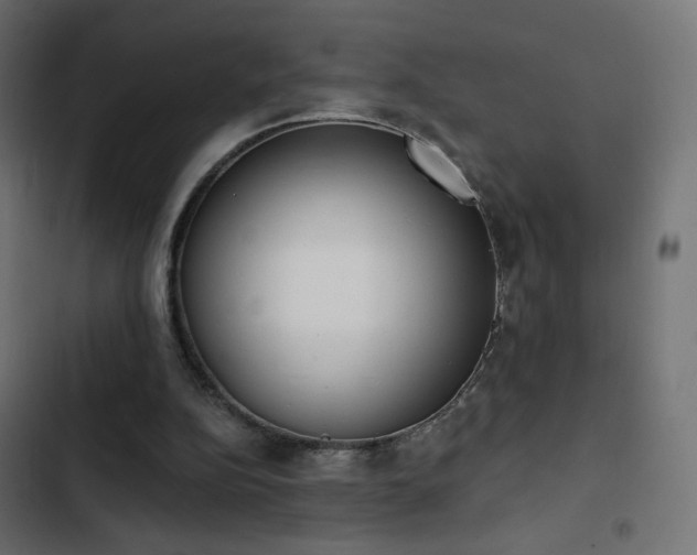 X0000103440152200809121411