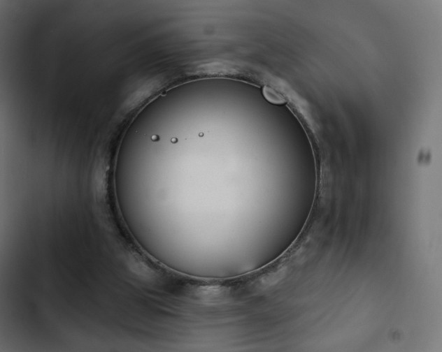 X0000103440153200809121411