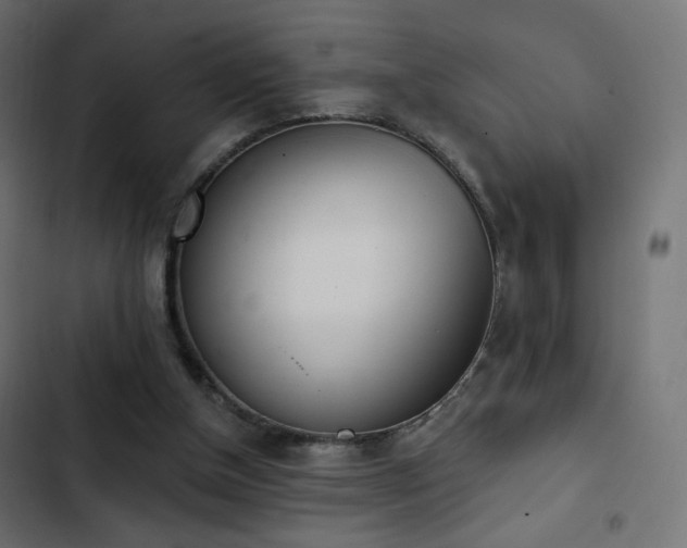X0000103440154200809121411