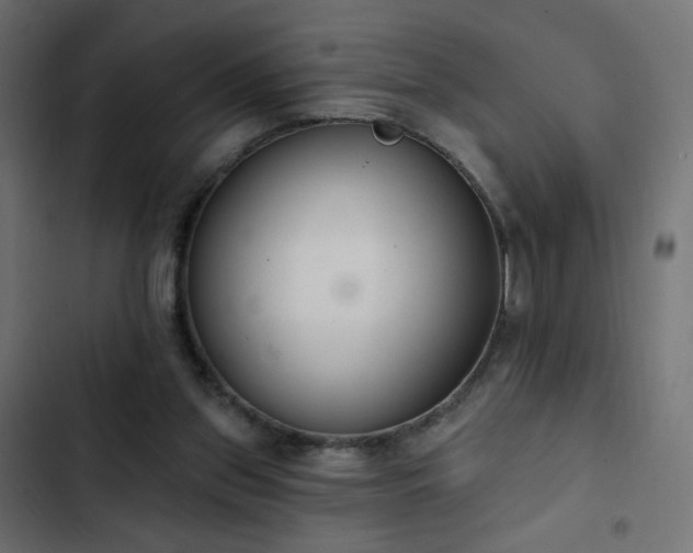 X0000103440157200809121411