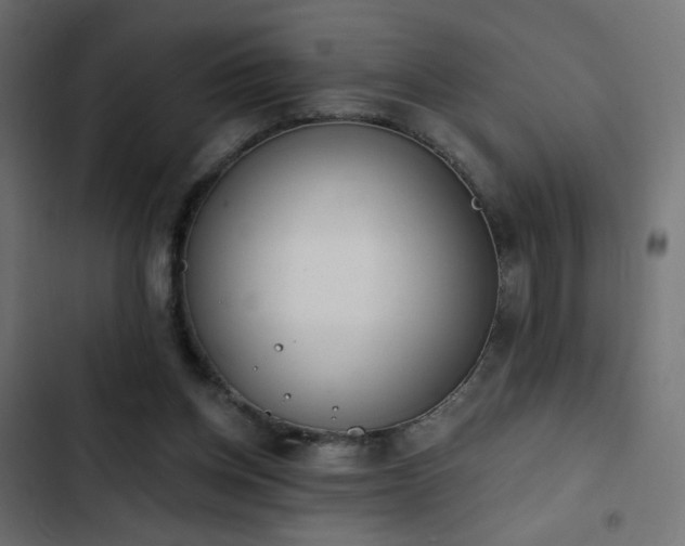 X0000103440158200809121411