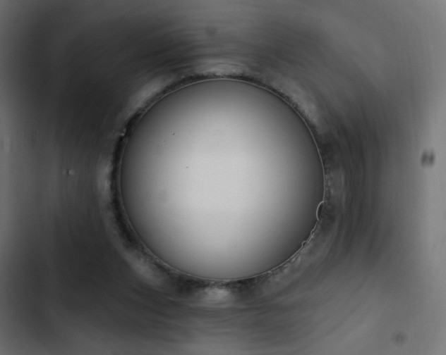 X0000103440159200809121411