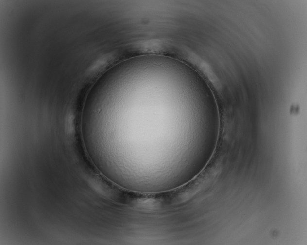 X0000103440161200809121411
