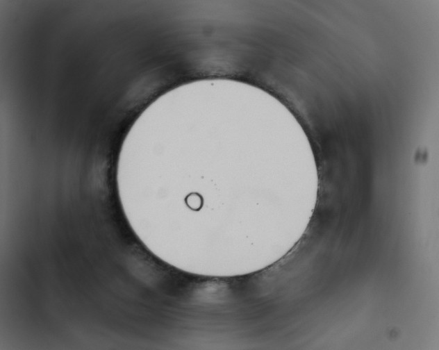 X0000103440162200809121411