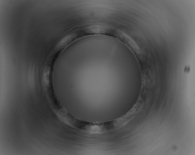 X0000103440163200809121411