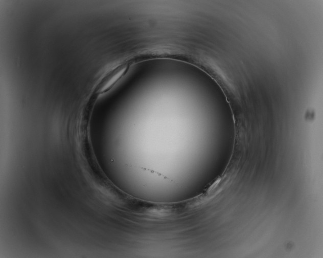 X0000103440164200809121411