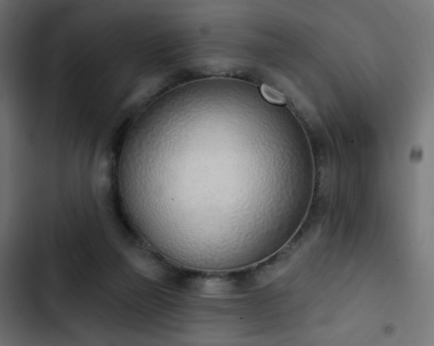 X0000103440165200809121411