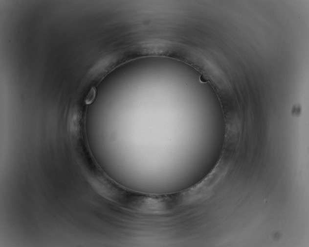 X0000103440166200809121411