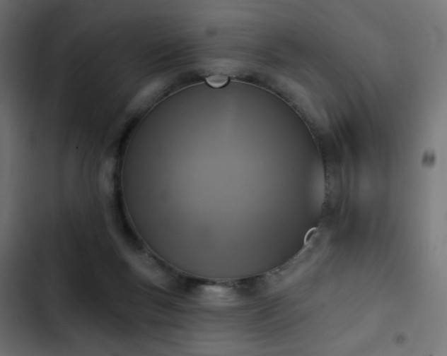 X0000103440167200809121412