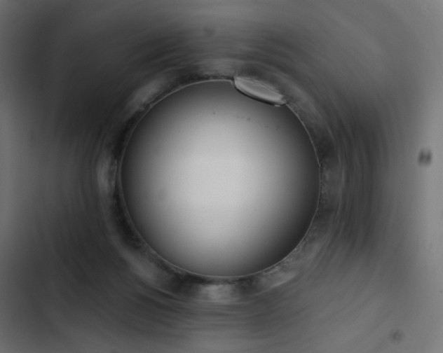 X0000103440168200809121412