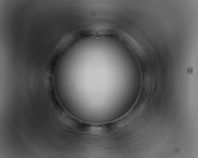 X0000103440169200809121412