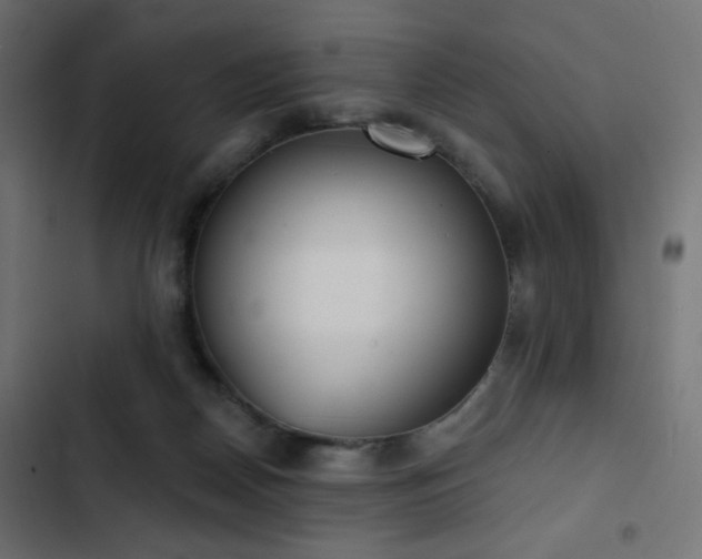 X0000103440170200809121412