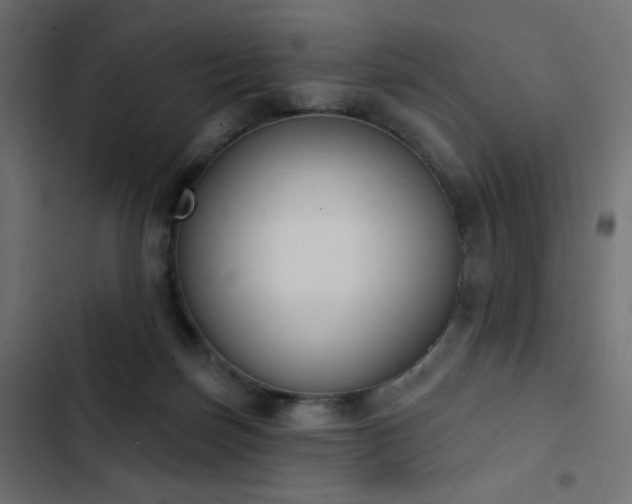 X0000103440171200809121412