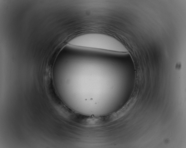 X0000103440172200809121412