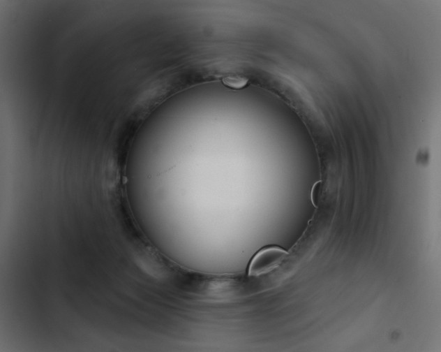 X0000103440173200809121412