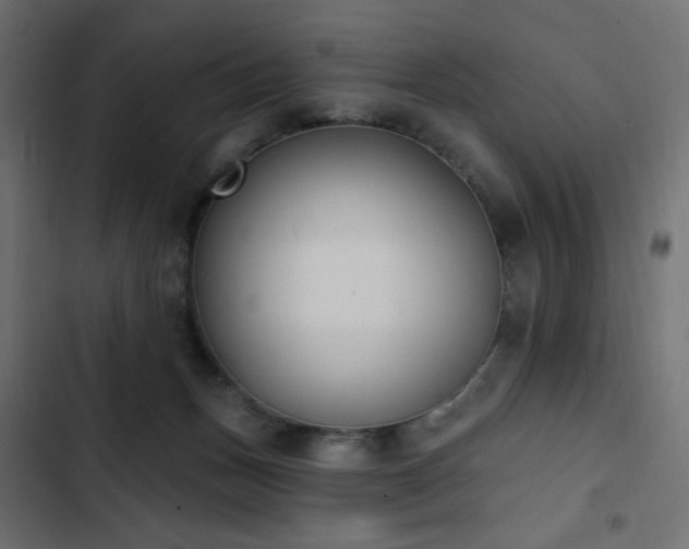 X0000103440175200809121412