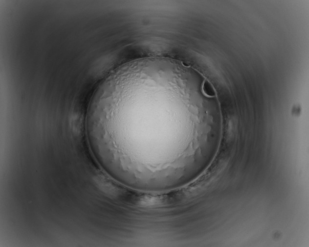 X0000103440177200809121412