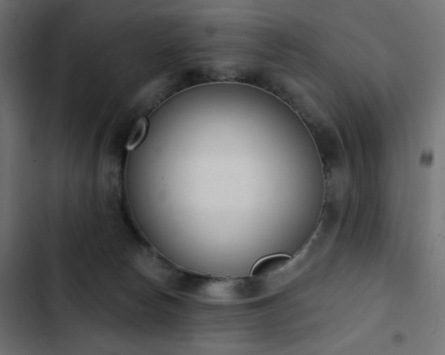 X0000103440178200809121412