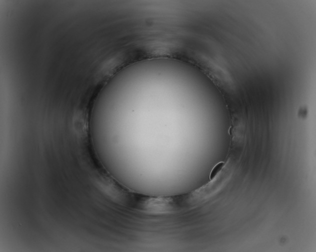 X0000103440179200809121412