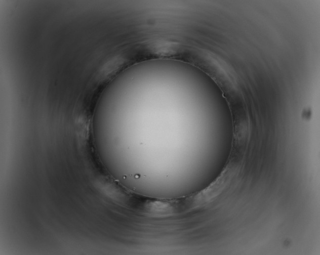 X0000103440180200809121412