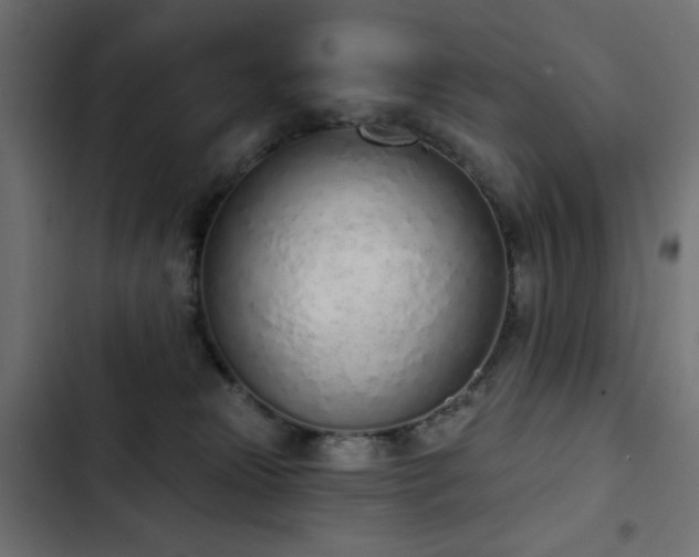 X0000103440181200809121412