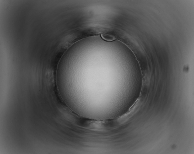X0000103440182200809121412