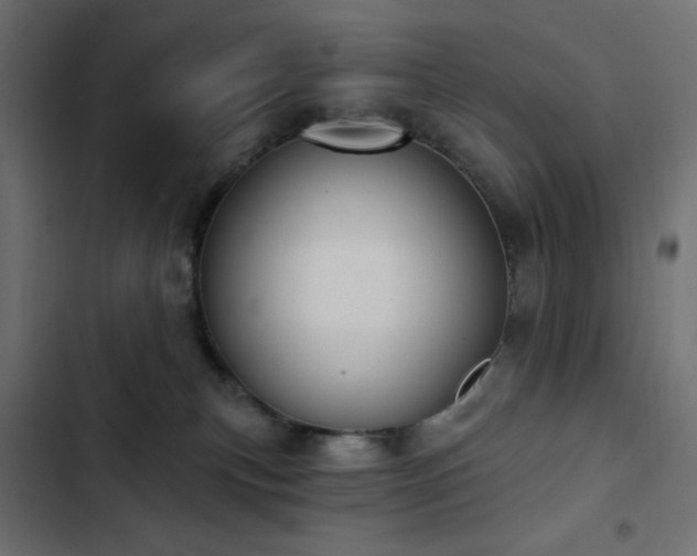 X0000103440183200809121412