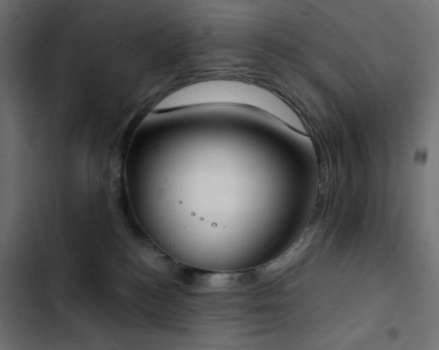 X0000103440184200809121412