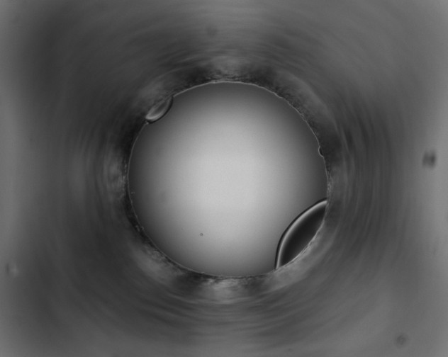 X0000103440186200809121412