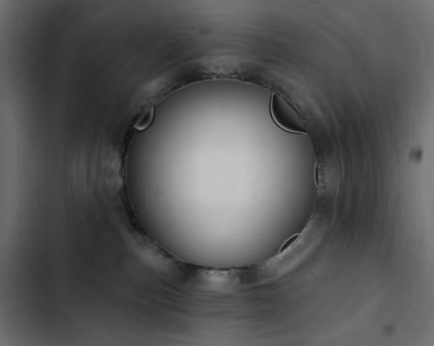 X0000103440187200809121412