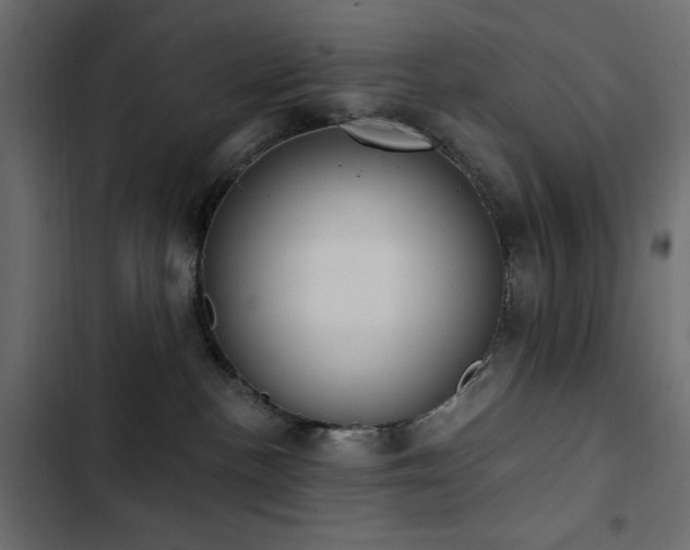 X0000103440188200809121412