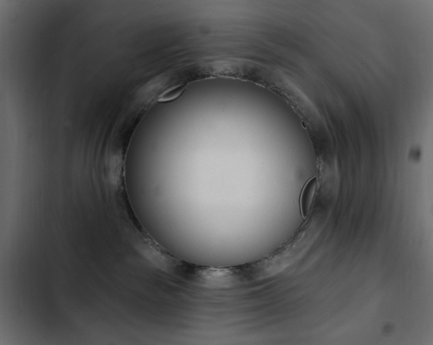 X0000103440189200809121412