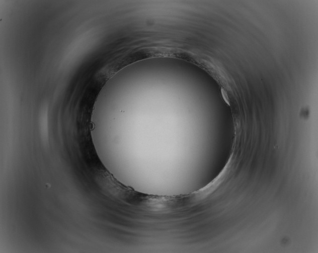 X0000103440190200809121412