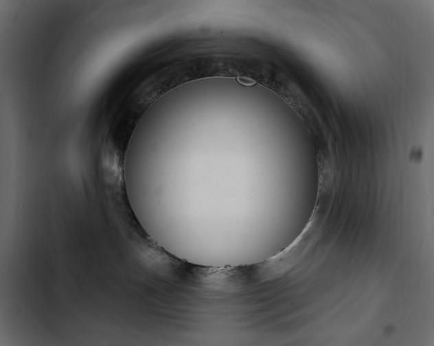 X0000103440191200809121412