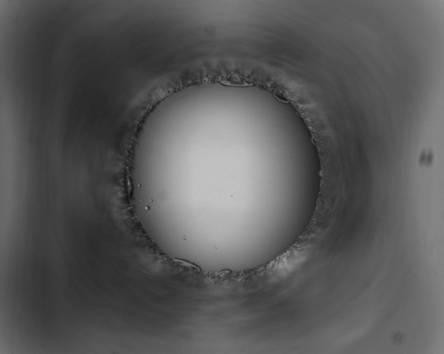 X0000103440192200809121412