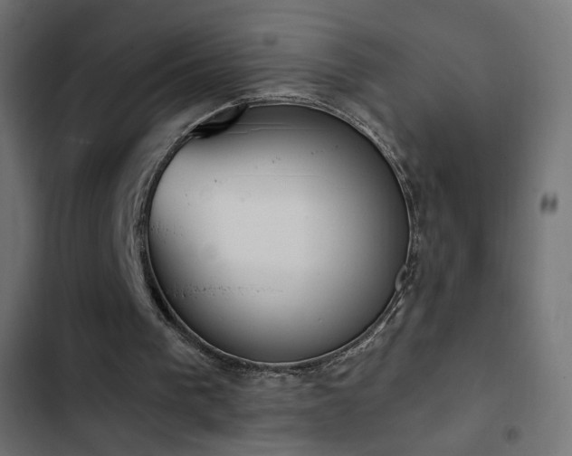 X0000103440193200809121411